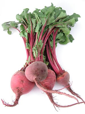 beet-root