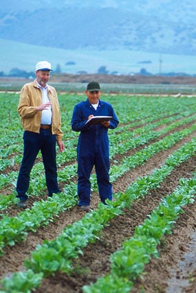 farmers